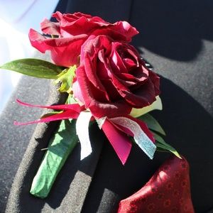 Meet your Posher, Kristen